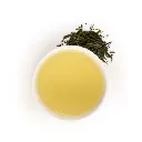 the-vert-bio (2).webp