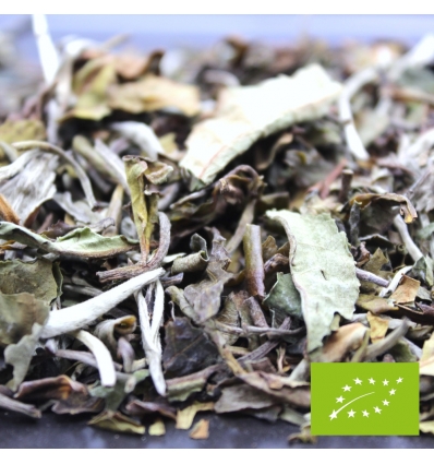 Thé blanc Pai Mu Tan