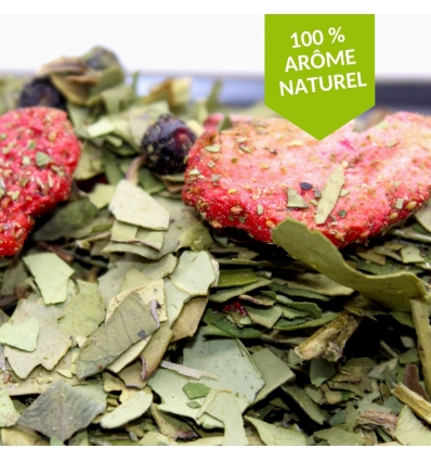 [THE507] Maté Un automne dans la Pampa