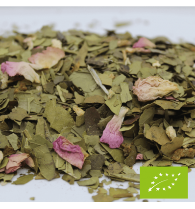 [THE619] Maté Ma Dolce Vita